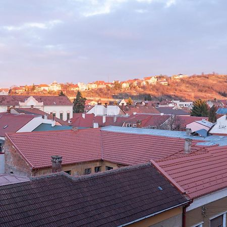 Tei Apartments Oradea Pokój zdjęcie