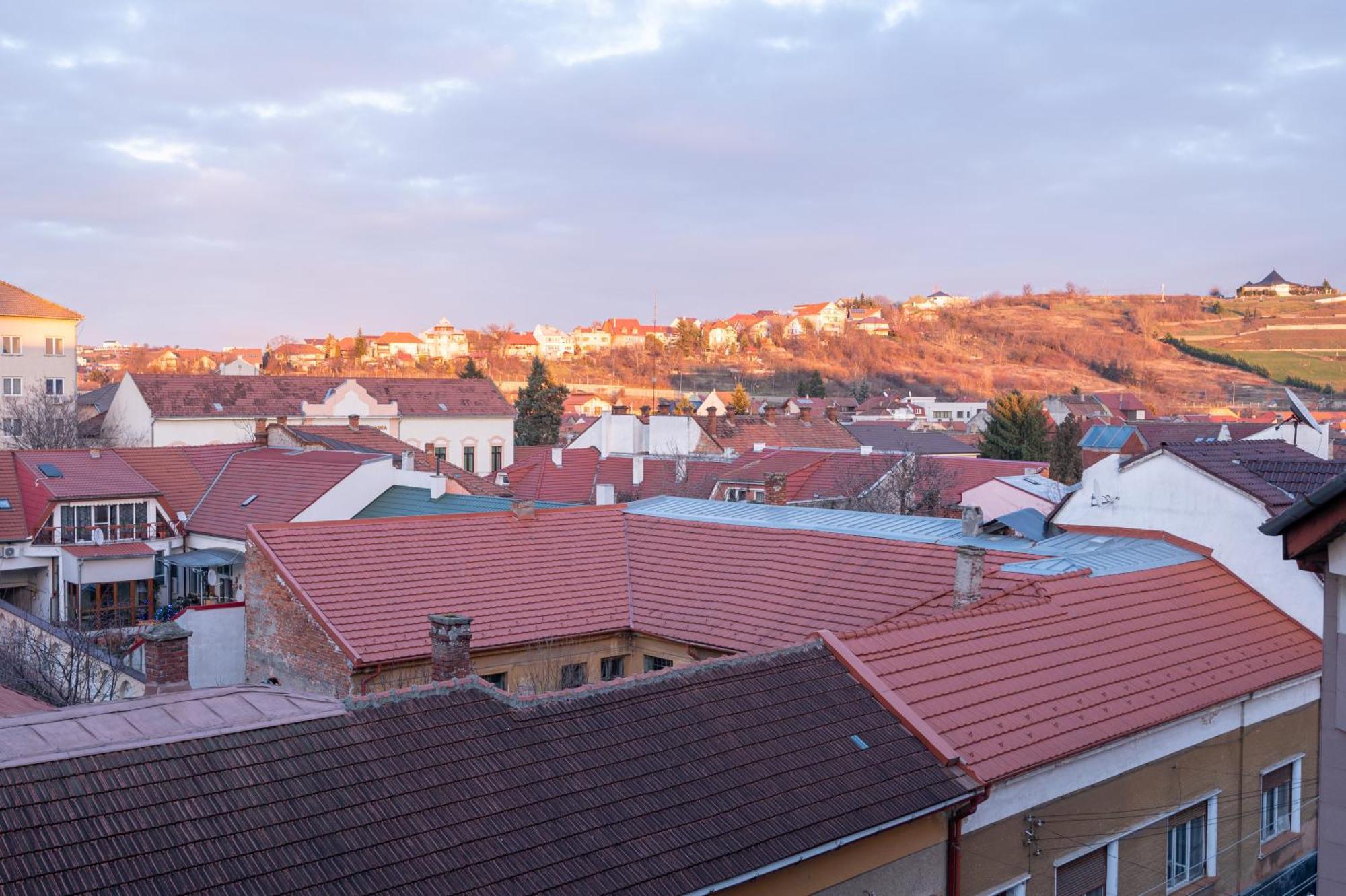 Tei Apartments Oradea Pokój zdjęcie